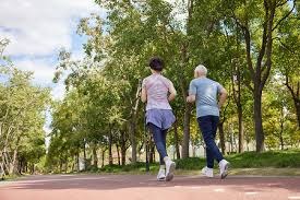 舒波-莫廷：拜仁不仅会赢得德甲冠军，欧冠也有